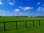 �����̖q�ꕗ�i