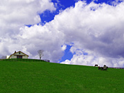 �q��̔n���i