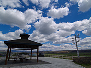 �T���u���b�h������Ԍ���