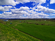 �q��̔n���i