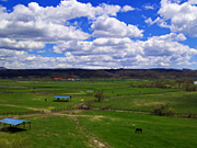 �q��̔n���i