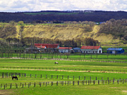 �q��̔n���i