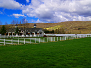 �q��̔n���i