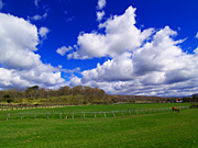 �����q�ꕗ�i