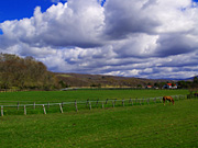 �q��̔n���i