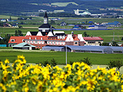 �k�����E�Ђ܂��̗�