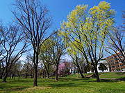 �k�C����w �������[��