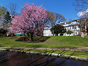 ���ƌÉ͋L�O�u���̕��i