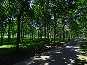 �ؘR����̓�