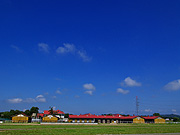 �m�[�U���z�[�X�p�[�N�̕��i