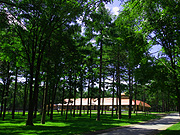 �m�[�U���z�[�X�p�[�N�̕��i