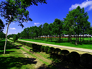 �����R�[�X