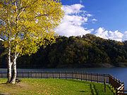 �j��΂̕��i