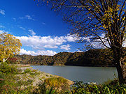 �j��΂̕��i