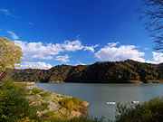 �j��΂̕��i