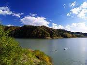 �j��΂̕��i