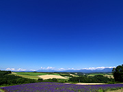 �[�R���̕��i