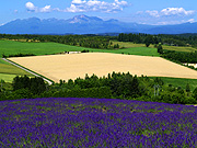 ��x�ǖ�E�[�R��