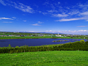 ���G�����̕��i