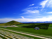 ���G���R�̕��i