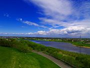 ���G�����̕��i