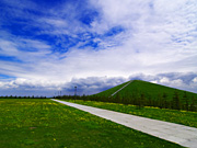 ���G���R�̕��i