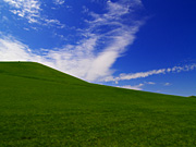 ���G���R�̕��i