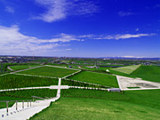 ���G���R����̕��i