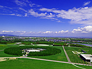 ���G���R����̕��i