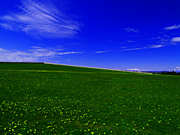 ���G���������̕��i