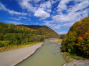 �g�t�R�̕��i