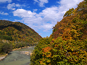 �g�t�R�̕��i