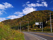 �g�t�R�̕��i