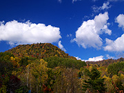 �g�t�R�̕��i