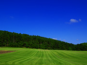 �����̓c�����i