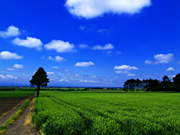 ��΁E�����c�����i