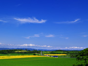 �p���b�g�̋u�̕��i