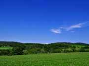 �W���K�C�����̕��i