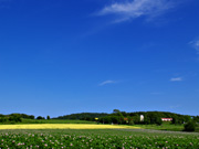 �p���b�g�̋u�̕��i