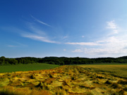 �p���b�g�̋u�̕��i