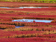 �\��΂̎X�葐���i