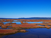 �\��΂̎X�葐���i