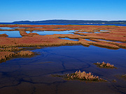 �\��΂̎X�葐���i