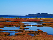 �\��΂̎X�葐���i