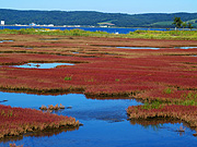 �\��΂̎X�葐���i