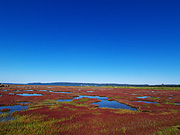 �\��΂̎X�葐���i