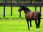 �g�E�J�C�e�C�I�[