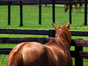 �Б�X�^���I���X�e�[�V����