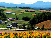 �l�G�ʂ̋u����̕��i