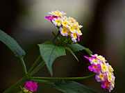 �k��A����